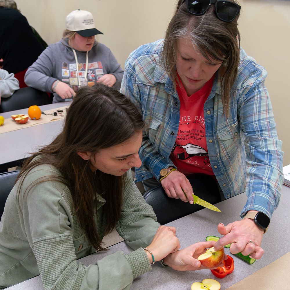 Students in the fruit disection lab.
