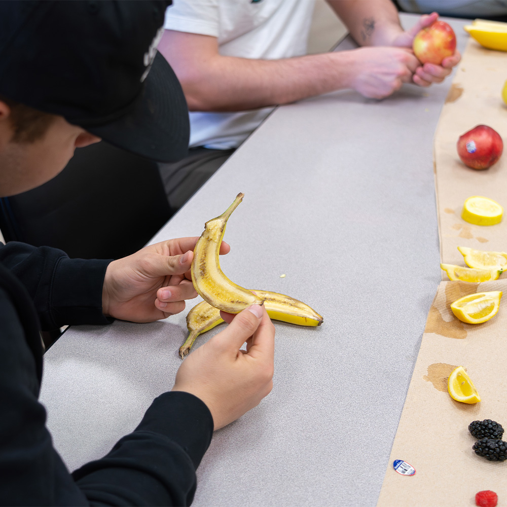 Fruit and plant disection lab
