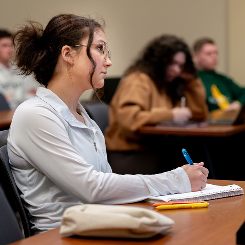 An accounting student in the classroom