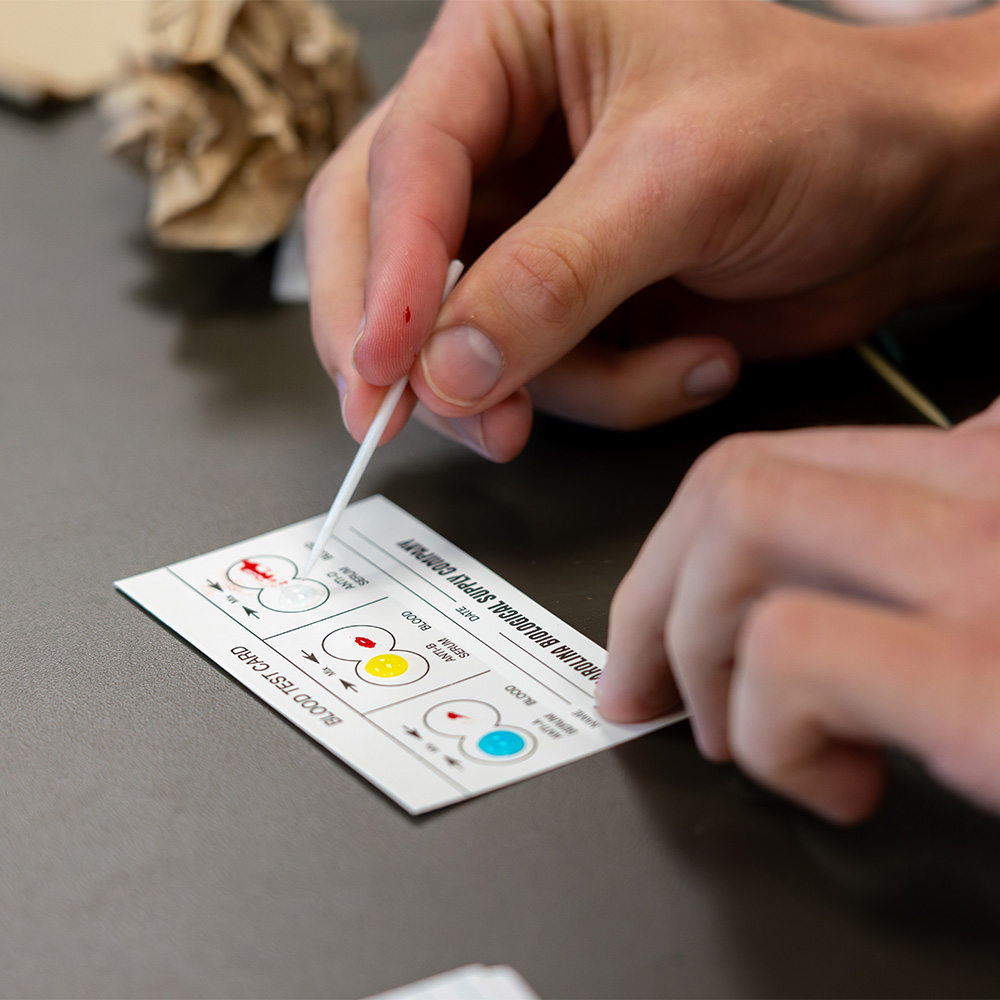 A student testing blood type