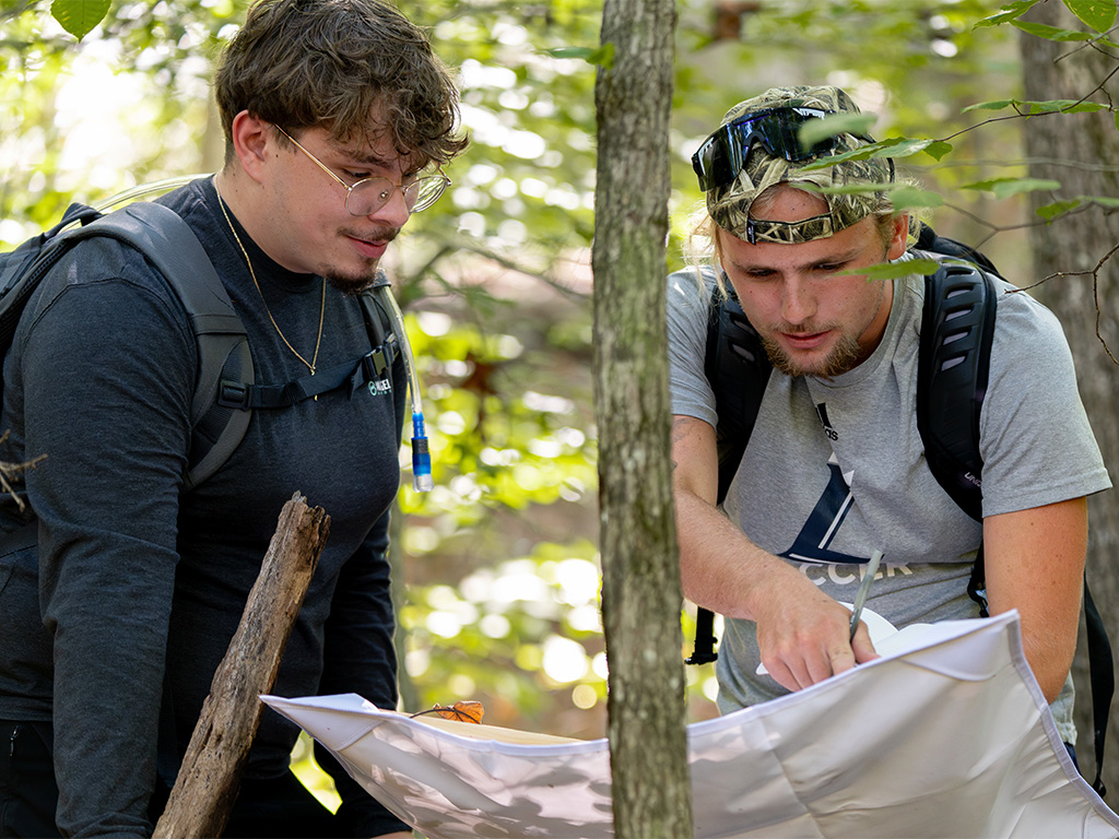 Fisheries and Wildlife students learning in an outdoor lab.