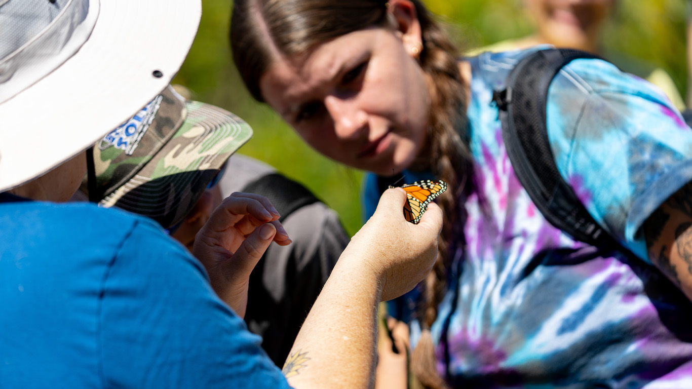 A student studying a butterfly.